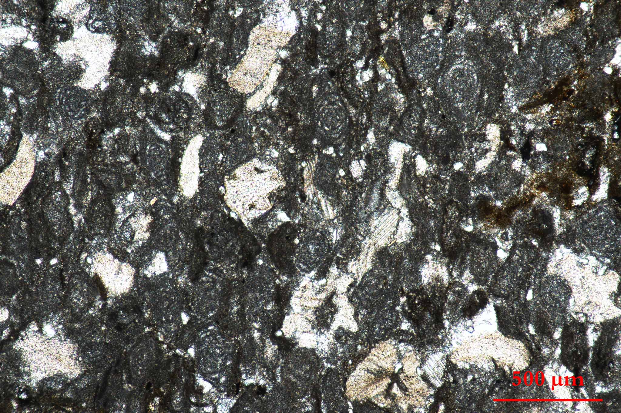 placeholder image-sq