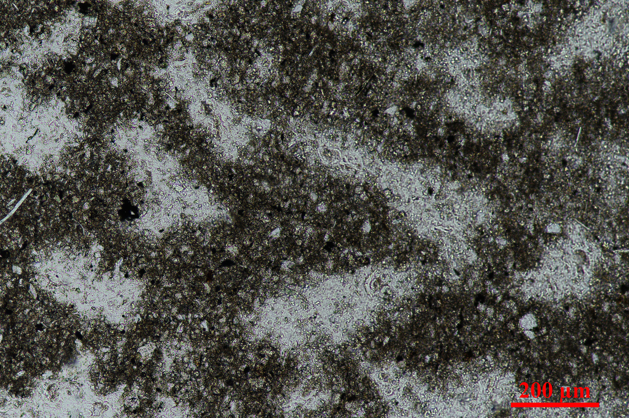 placeholder image-sq