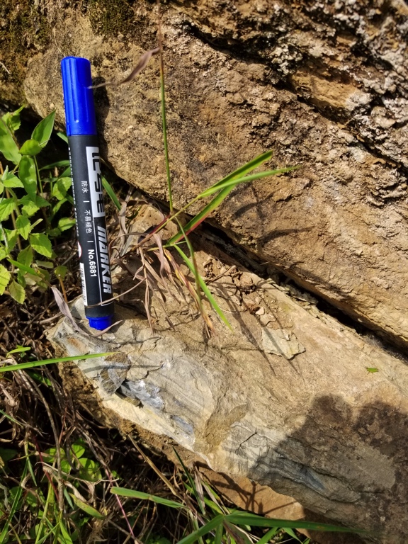 placeholder image-sq