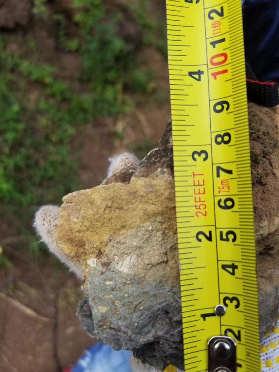 placeholder image-sq