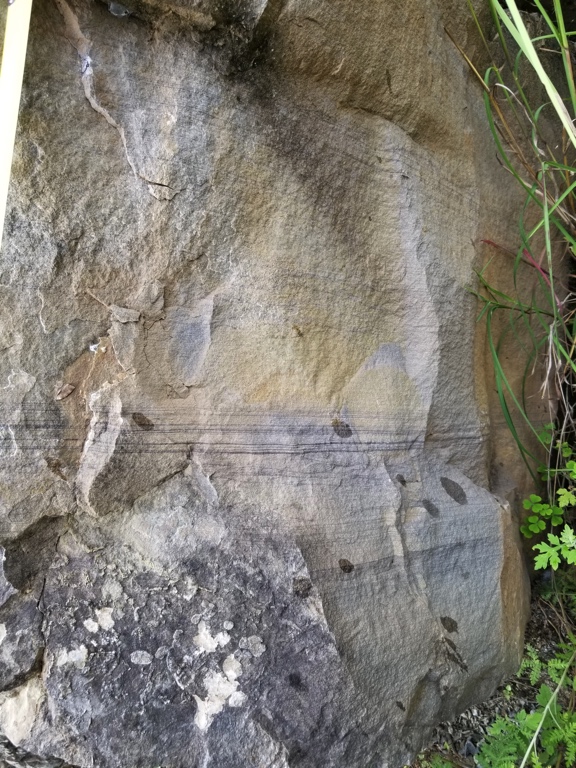 placeholder image-sq