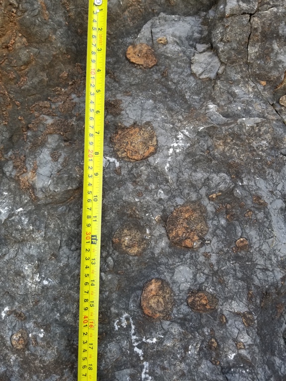 placeholder image-sq