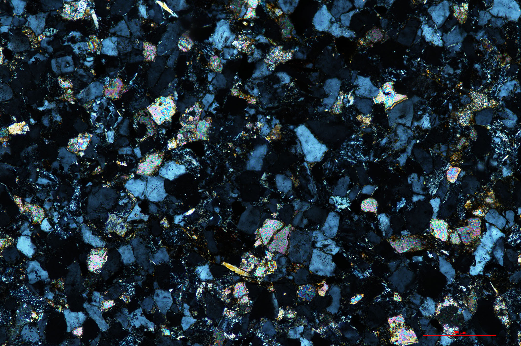 placeholder image-sq