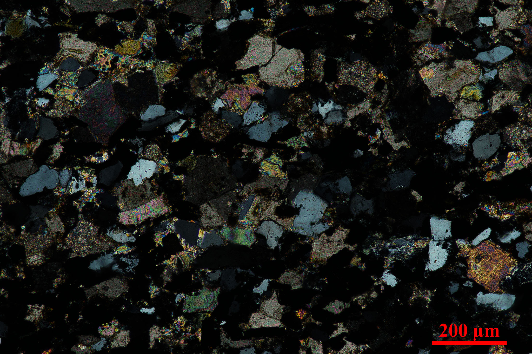 placeholder image-sq