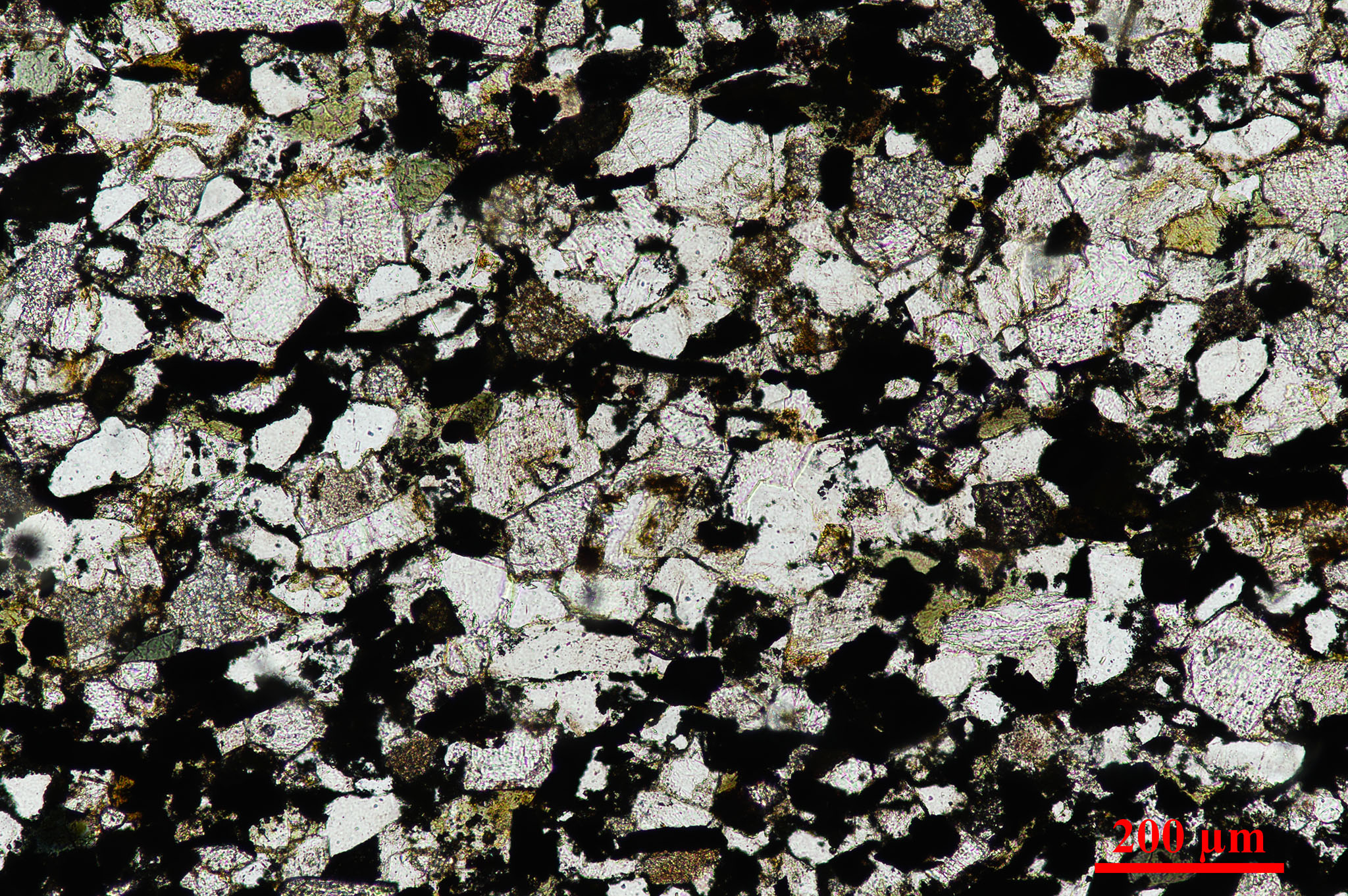 placeholder image-sq