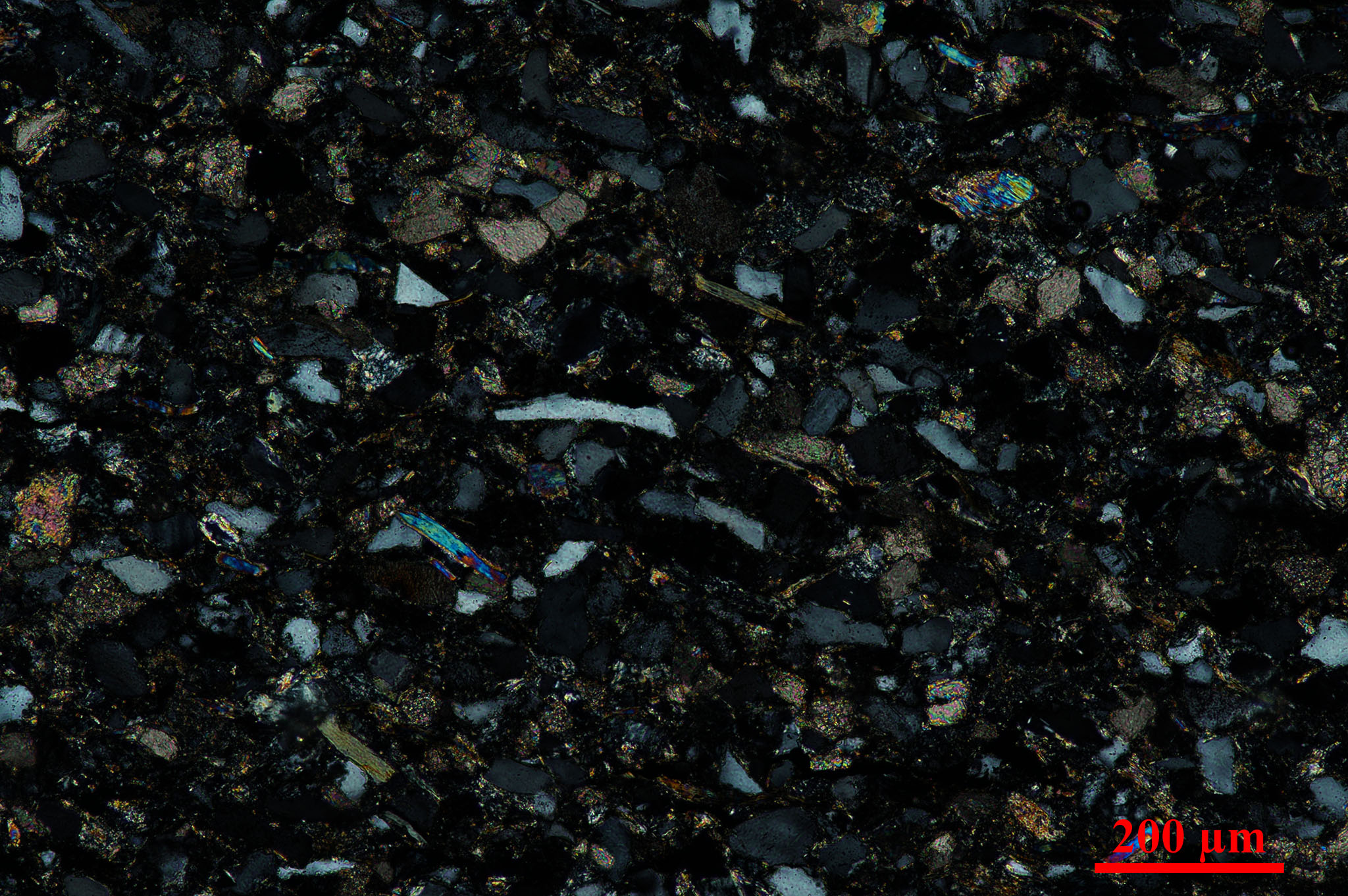 placeholder image-sq