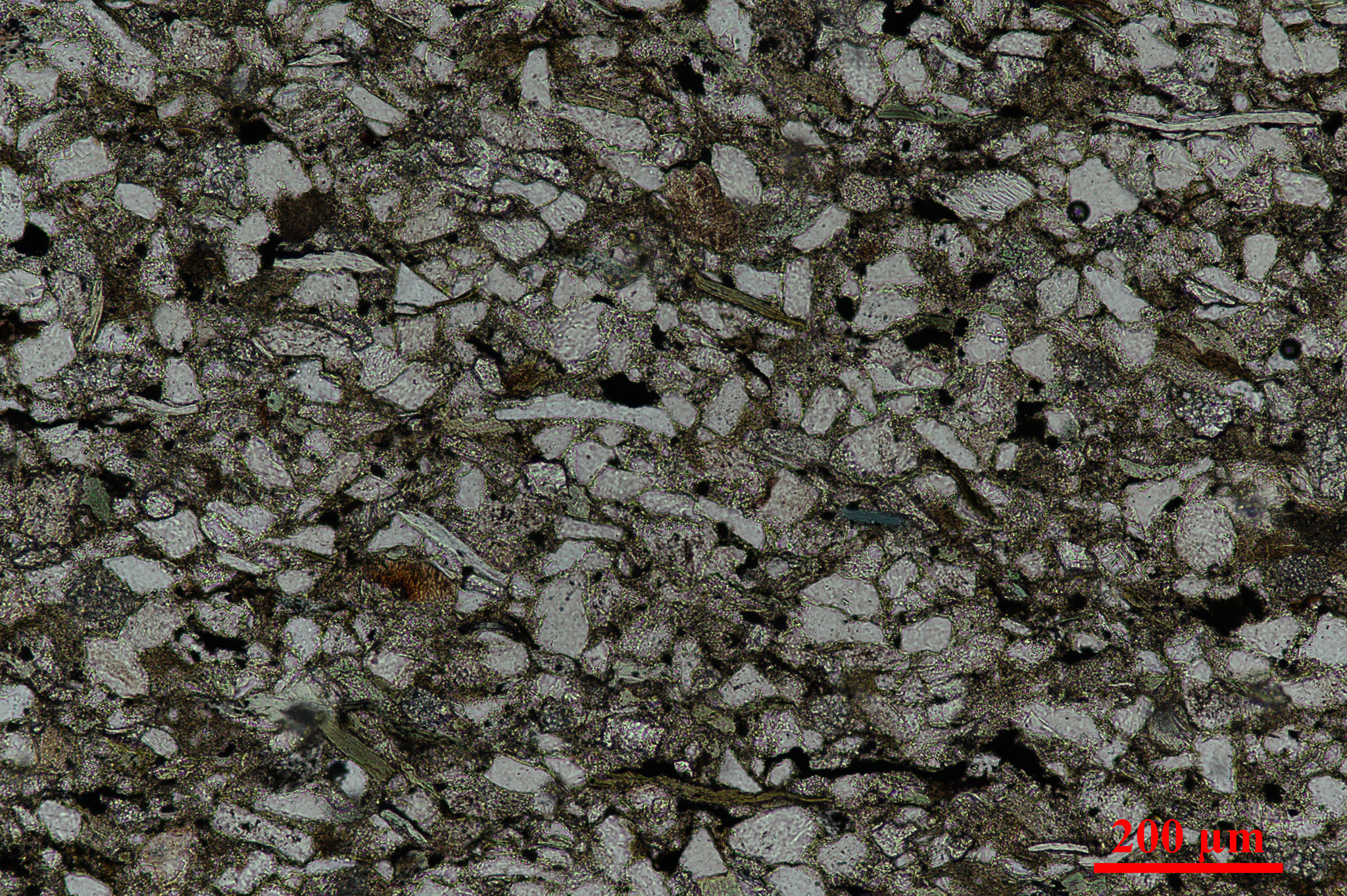 placeholder image-sq