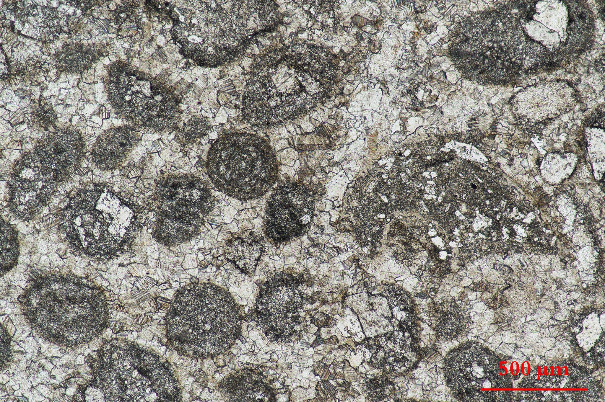 placeholder image-sq